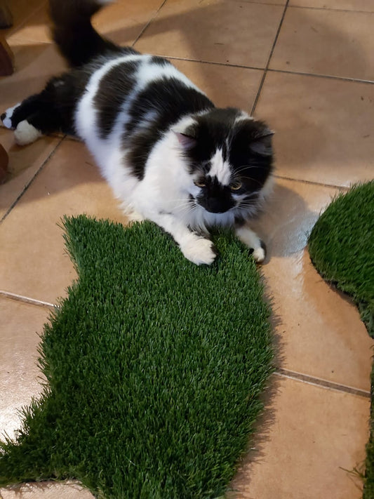 Alfombra para Gato de Pasto Sintético