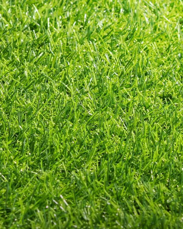Pasto Sintético 15 mm Verdecrea – Compra por m² | Instálalo tú o con nosotros