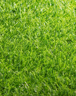 Pasto Sintético 15 mm Verdecrea – Compra por m² | Instálalo tú o con nosotros